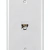 Cat6 Ethernet Wall Plate Phizli Electronics-0