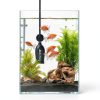 DaToo Super Mini Aquarium Heater 6W Flat Heater for 2 Gallon Tanks-6